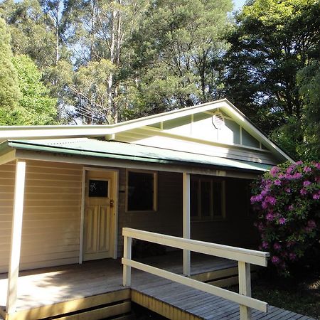 Credo Cottages Olinda Exterior foto